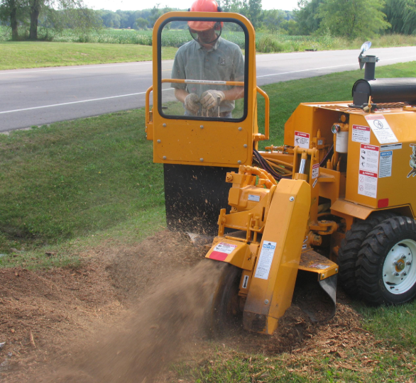 An image of stump grinding in Chino Hills, CA.